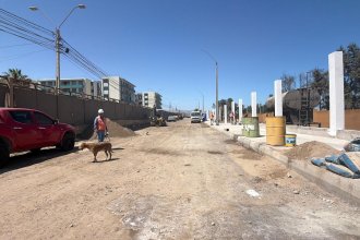 PHOTO-2026-03-05-17-01-12 2.jpg